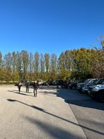 Galleria Tour forcella pala barzana monte jouf 4x4 10 novembre 2024